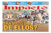 Imapcto Latin Newspaper 377