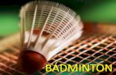 Iniciaci³n al badminton