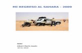 Viatge al Sahara del 2009 de Albert Marín
