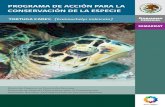 Programa de Acción para la Conservación de la Especie Tortuga Carey