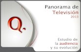 Panorama tv 2013