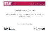 implementacion proxy cache mikrotik