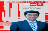 Resumen Programa PSOE Burguillos