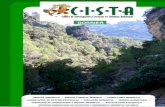 Dossier Cista