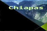 Chiapas Vive