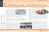 Boletín de Prensa Noviembre -2010 , PRODEOCSA