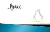 Versiones de Linux-Paola Estacuy