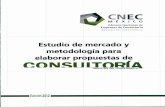 Estudio de mercado y metodología para elaborar propuestas de Consultoría