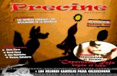 Revista Precine 2012/2013 - Sombras Chinescas