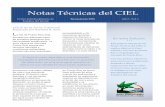 Notas técnicas del CIEL Año1, Vol. 1