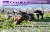Perrikus Revista nº1 enero 2013