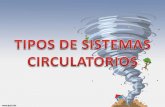 TIPOS DE SISTEMAS CIRCULATORIOS