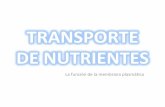 TRANSPORTE DE NUTRIENTES A TRAVÉS DE LA MEMBRANA