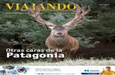 Viajando Patagonia 2011