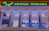 Plataforma Franja Morada - Propuestas 2010