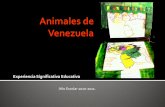 Experiencia Significativa de Formación numero 2 Aminales de Venezuela