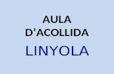 Linyola AA