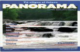 Revista Panorama Marzo 2010