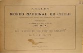 Anales zoologia 1896 craneo delfin chileno
