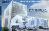 Plan de actividades - PYMEADEX 2013