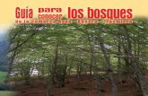 Bosques de Cantabria Oriental Rural