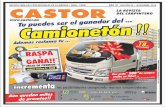 Castor, La Revista para los Profesionales de la Madera Noviembre 2013