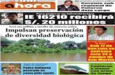 Diario Ahora Amazona