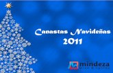 Catálogo Canastas 2011_DO