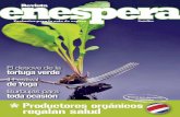 Revista Enespera edición 20, Setiembre 2009