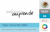 Presentacion Mini MBA