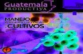 Guatemala Productiva Edición 11