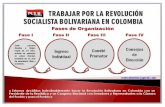 Trabajar por la Revolución Socialista Bolivariana en Colombia