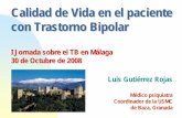 Jornadas BAO. CV en el TB por Juan Antonio Perez-Campanero