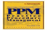 Manual PPM 5  Personas y Organización