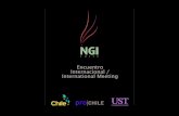 Encuentro Internacional NGI Chile
