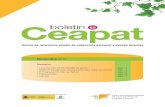 Boletín Ceapat nº65 (2010)