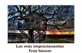Las más impresionantes Tree Houses