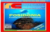 Nova Ciencia Septiembre 2012 Posidonia, el pulmón mediterráneo