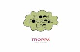 Proyecto fin de master / Campaña TROPPA