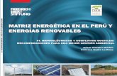 Hidroeléctricas y conflictos sociales: recomendaciones para una mejor gestión ambiental