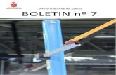 Boletin 7 CNJ