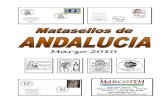 Matasellos de ANDALUCIA - Cancels of ANDALUCIA