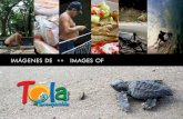 Imágenes de Tola - Images of Tola