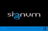 Singum Studio Brochure Servicios