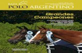 POLO ARGENTINO N° 14