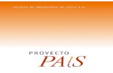 Proyecto País 1era Etapa (2004-2010)