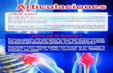 Huesos y Artritis