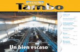 Tambo N° 38 - Mayo 2010