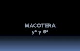 Macotera News