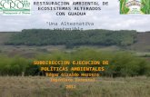 Restauración Ambiental de Ecosistemas Degradados con Guadua